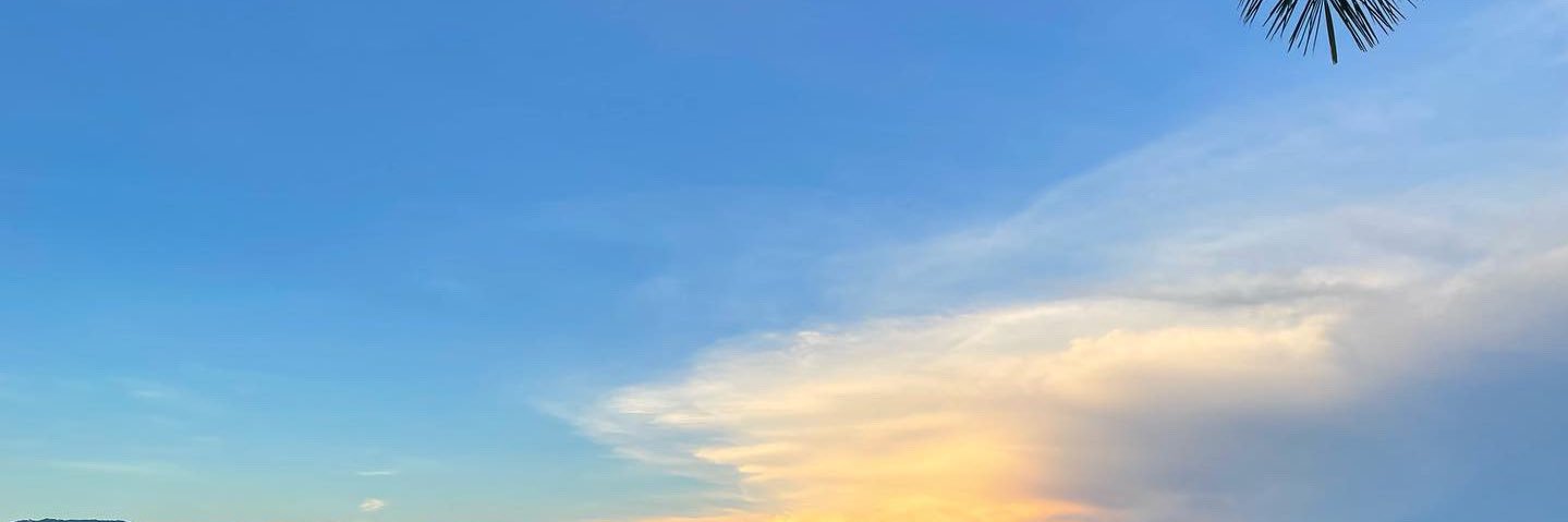 evanavarrete's profile banner image