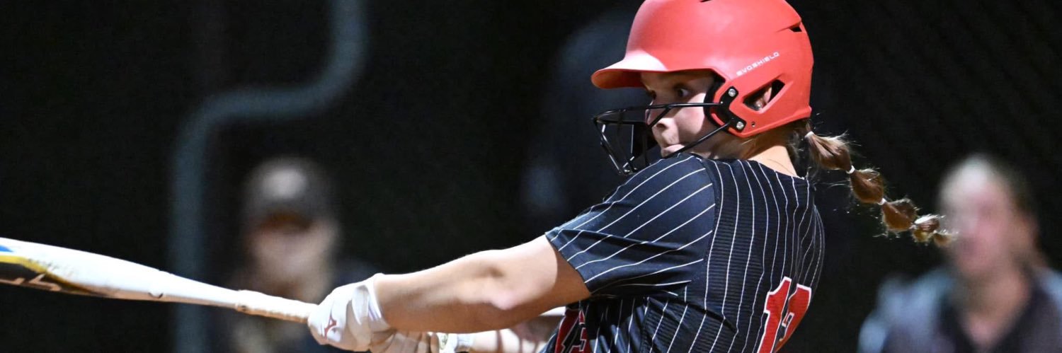 Ashleigh Johnson banner