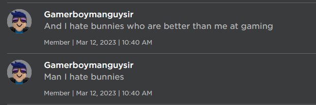 Gamerbunny101plays banner