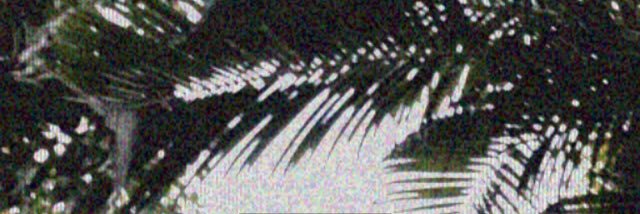 Or_Mint's profile banner image