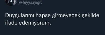 zehraamutlu's profile banner image