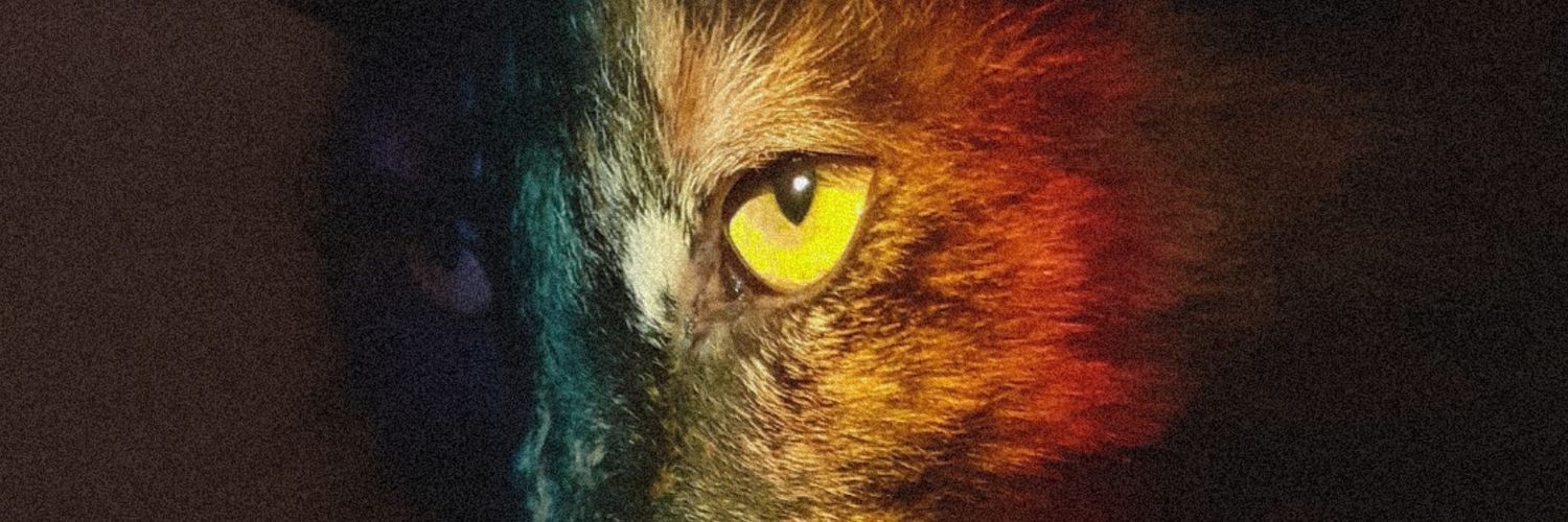 Sapisbored's profile banner image