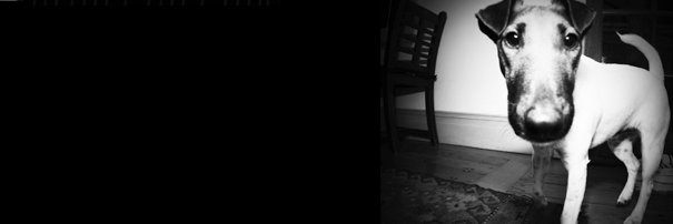 nickohobbs's profile banner image