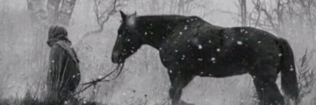 𝕸𝖆𝖉𝖆 𝟮𝟮 banner