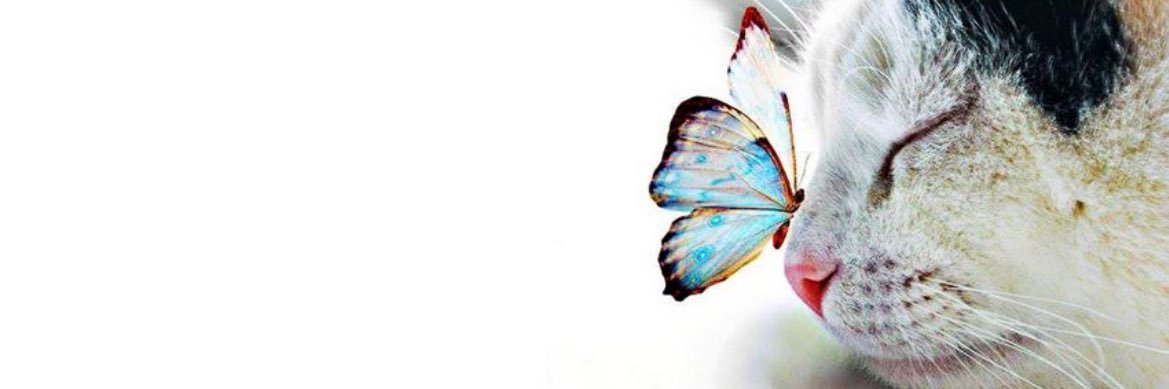 aydgnsn's profile banner image