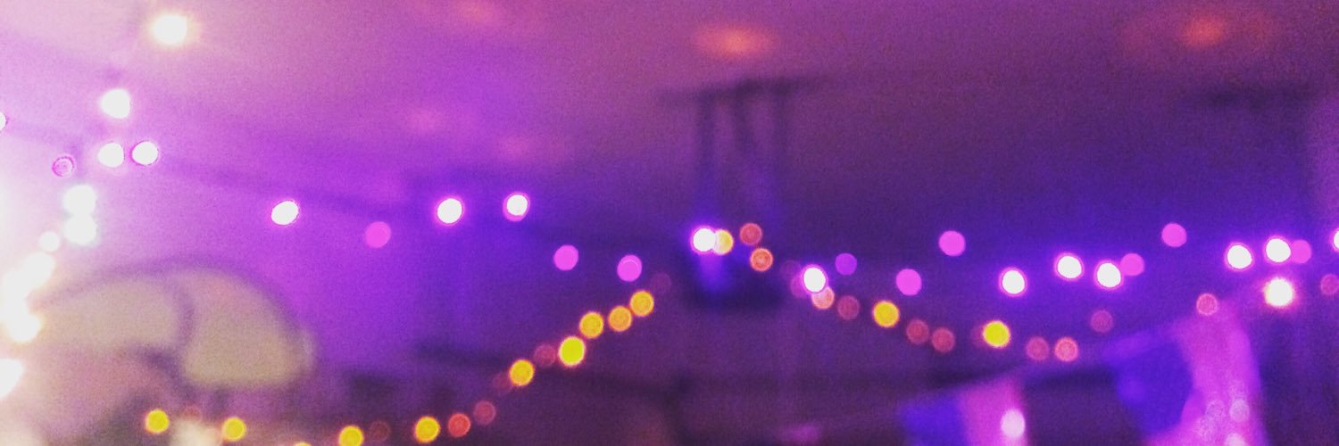 SpookyOpossum's profile banner image