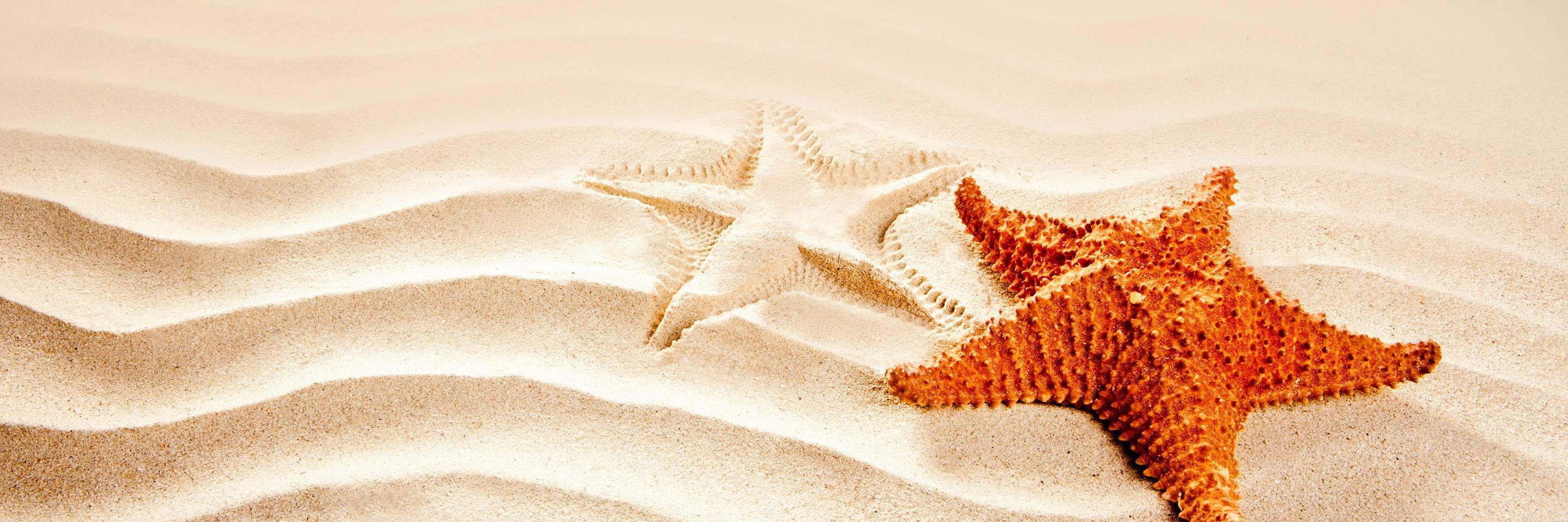 GTESSeaStars's profile banner image