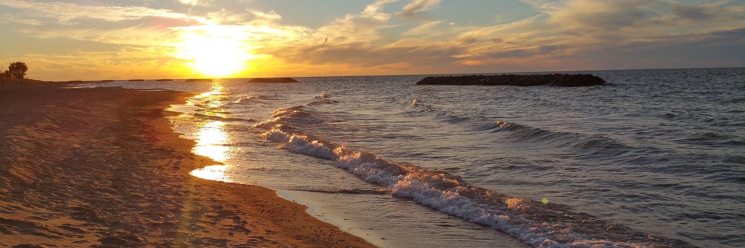 ❤️Fur Babies 🇺🇸 🇺🇦🌻 banner