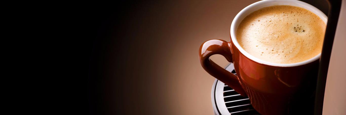 Jitka Rambousková banner