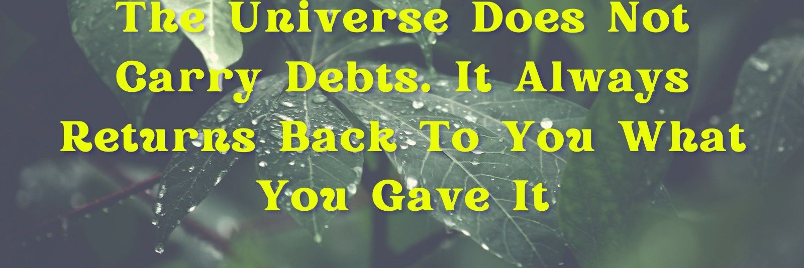 NEAR Gen Z Oration 🦅⋈,🤖 banner