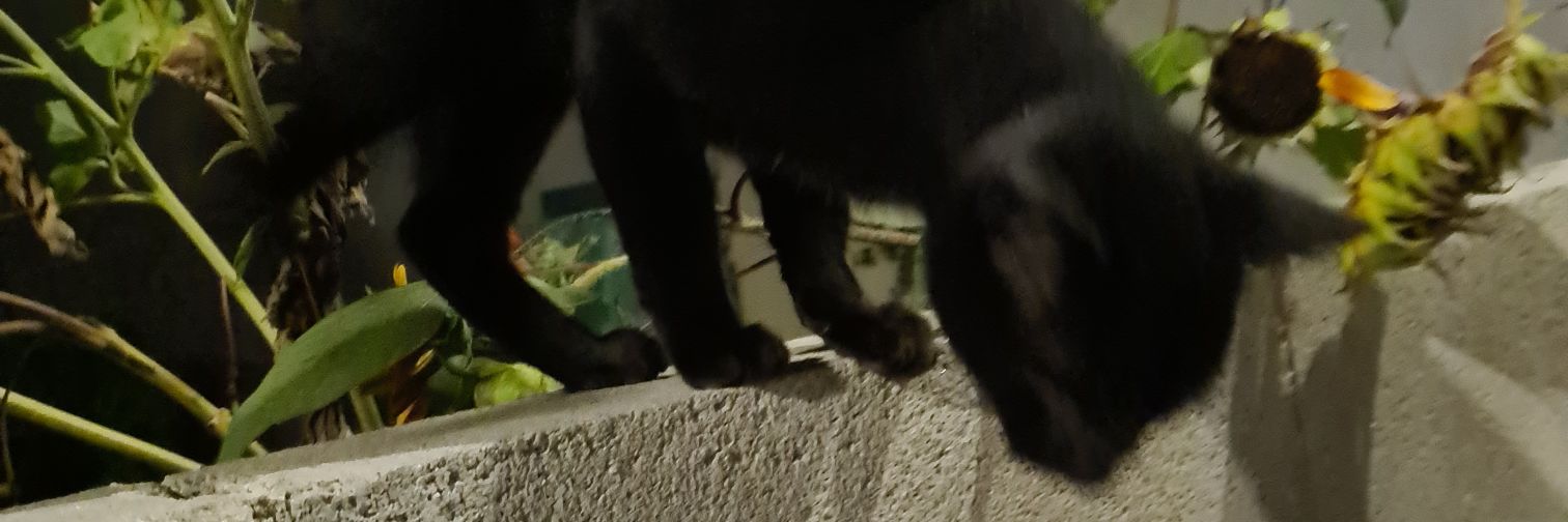 astrosalem_ 🇺🇾 banner