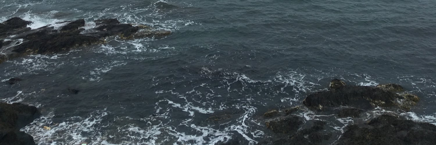 karairis's profile banner image