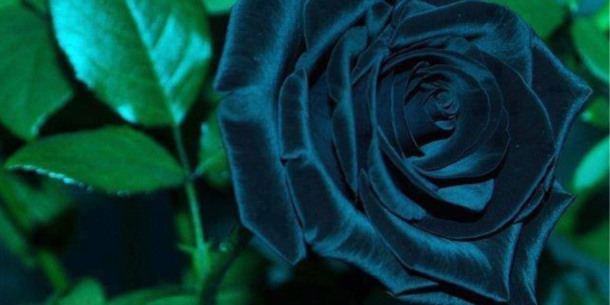 LadyK211's profile banner image