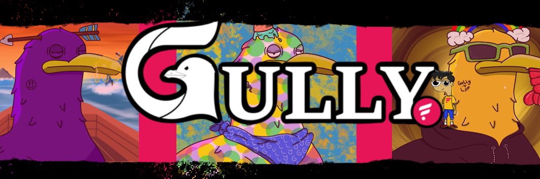 Gully☀️'s banner