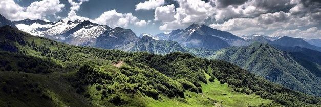 Olivier Banus banner