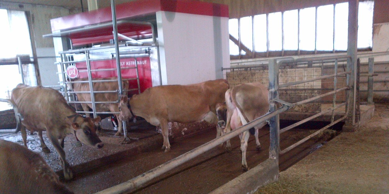 Ethan Wallace banner