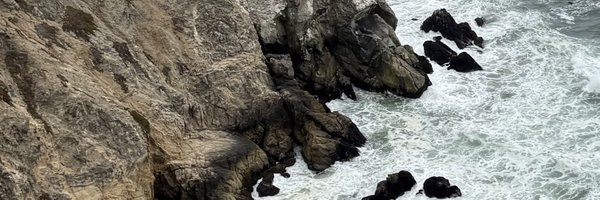 drunkengrass Profile Banner