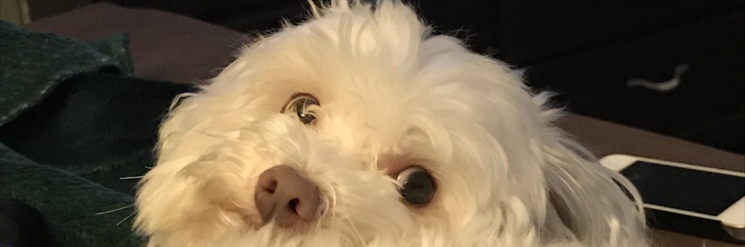 gamertl95's profile banner image