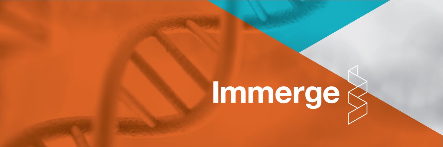 IMMERGE's banner