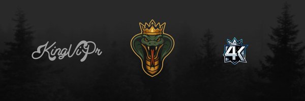 KingViPrBT Profile Banner