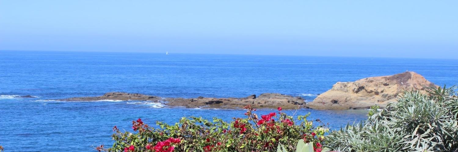 Natalie Beamer banner