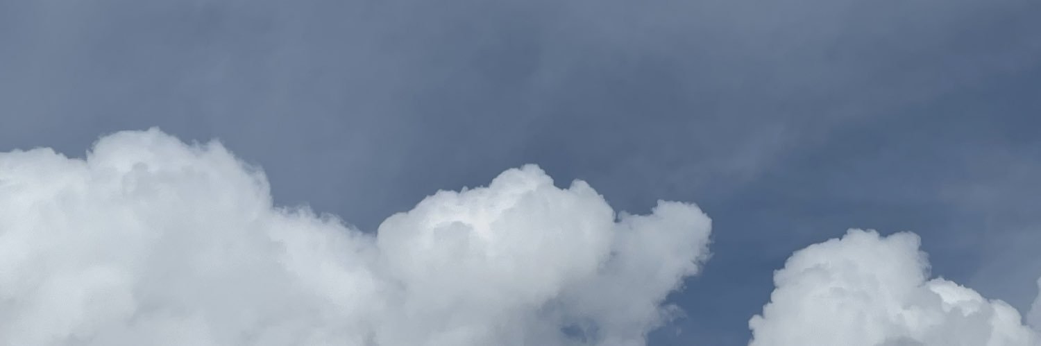 minjyyi's profile banner image