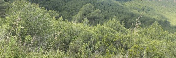 xavba7 Profile Banner