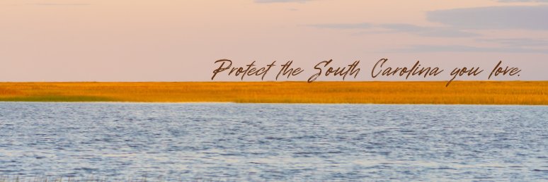 Conservation Voters of SC banner