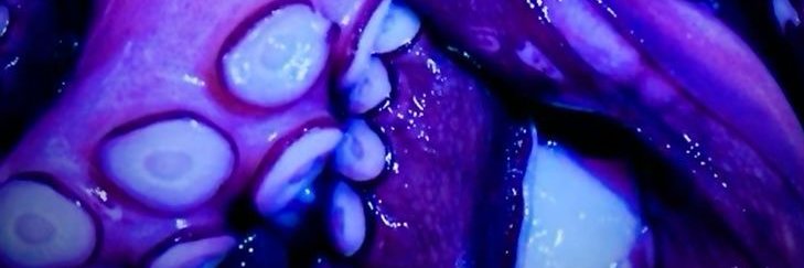 Neam🐙's banner