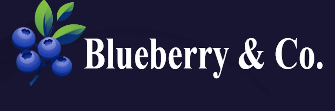 BlueberryAndCo's profile banner image