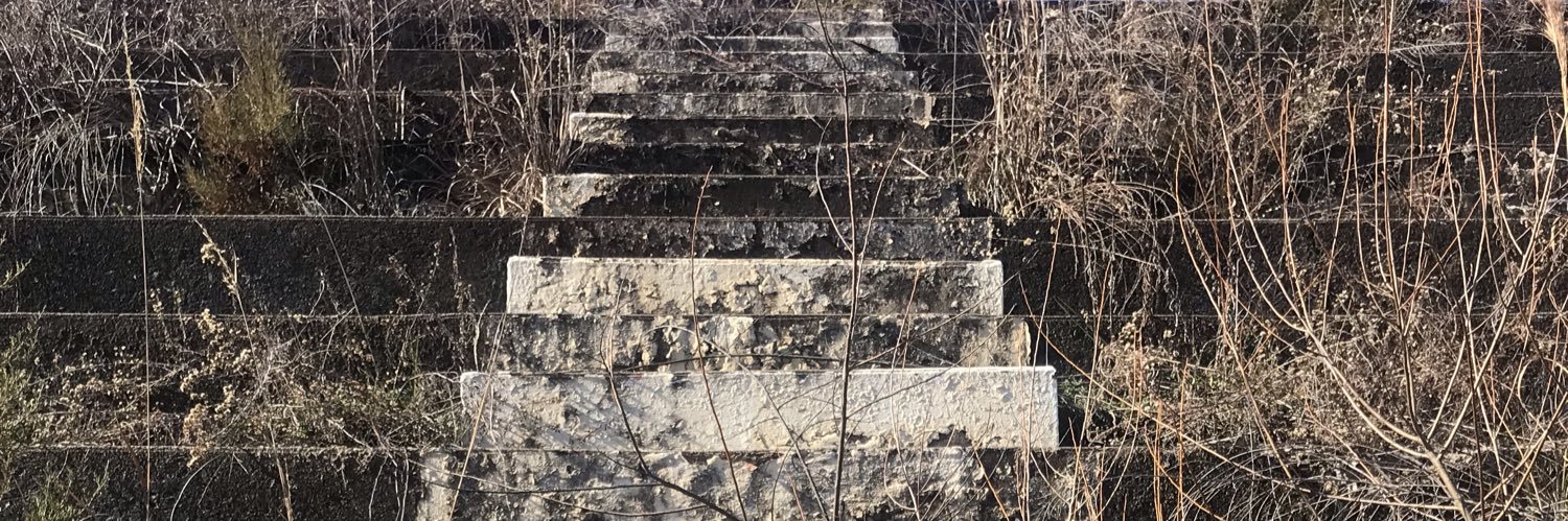 Lost Speedways banner