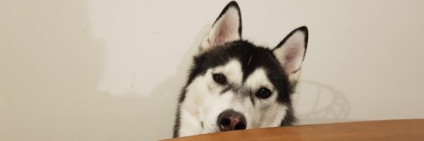 frostbytez Profile Banner