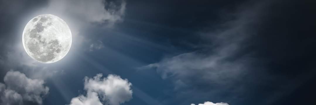 ray_van001's profile banner image