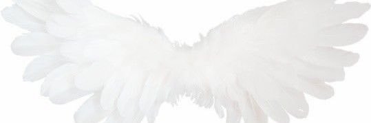 ⚢ zahra's banner