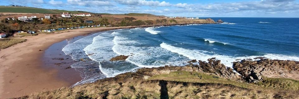 AVATAR Borders banner