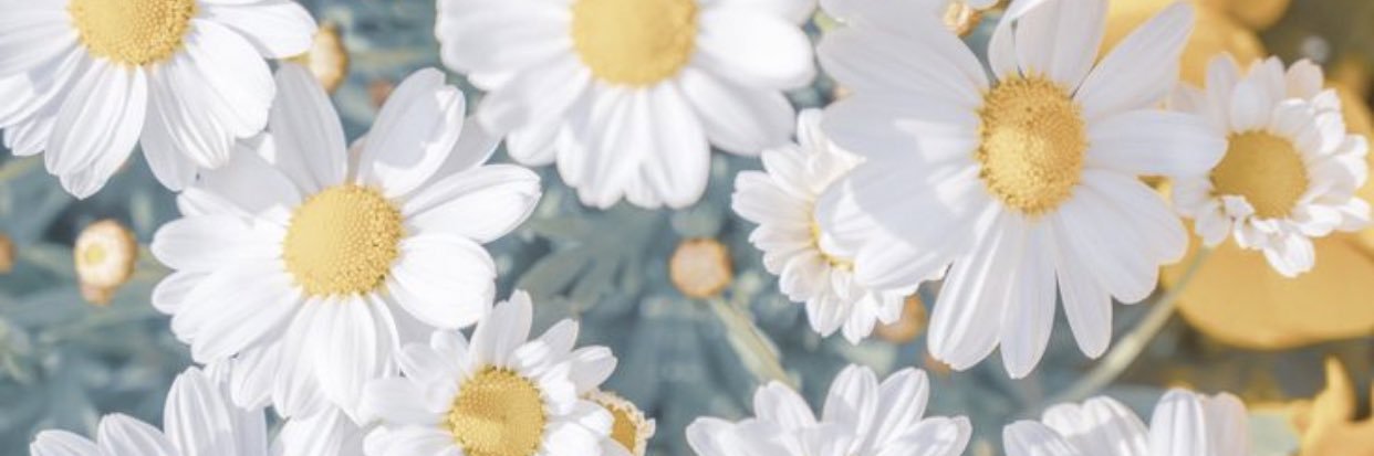 MsDunlopTeaches's profile banner image