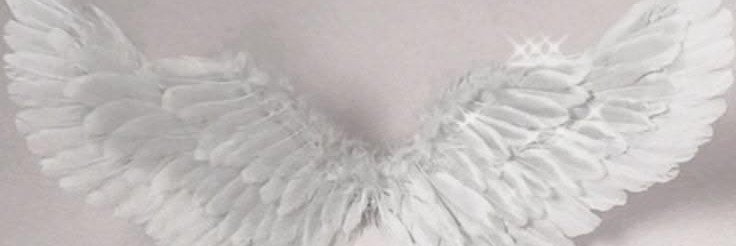 morcshl's profile banner image