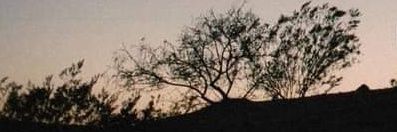 NDProCounseling's profile banner image
