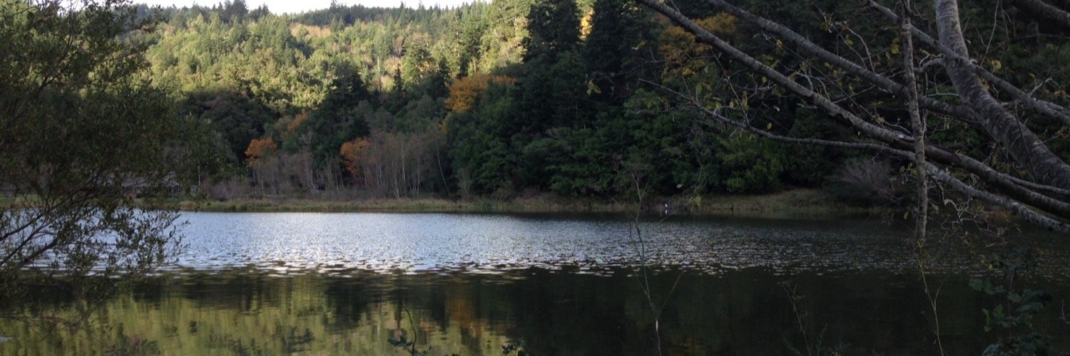 sandduck's profile banner image