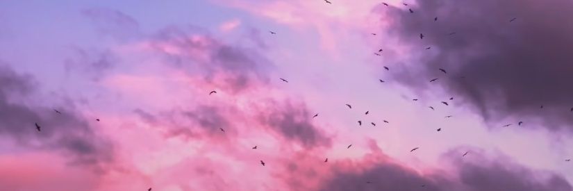 ꫀmad banner