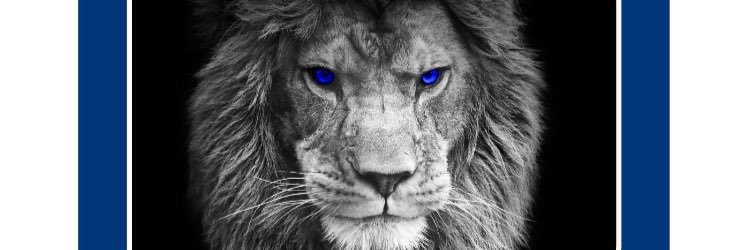 lionsden76's profile banner image