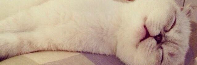tmswift13's profile banner image