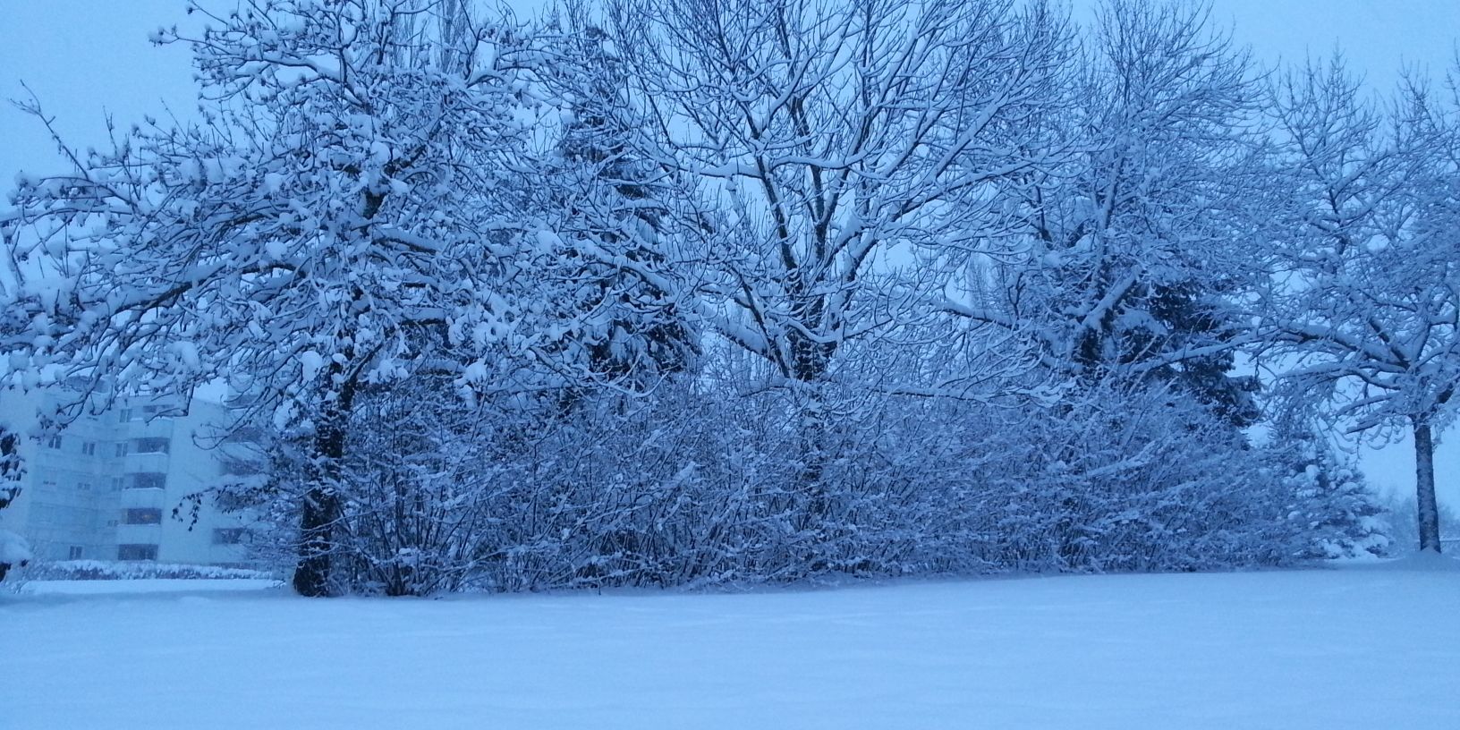 Óscar Gómez Alcañiz banner