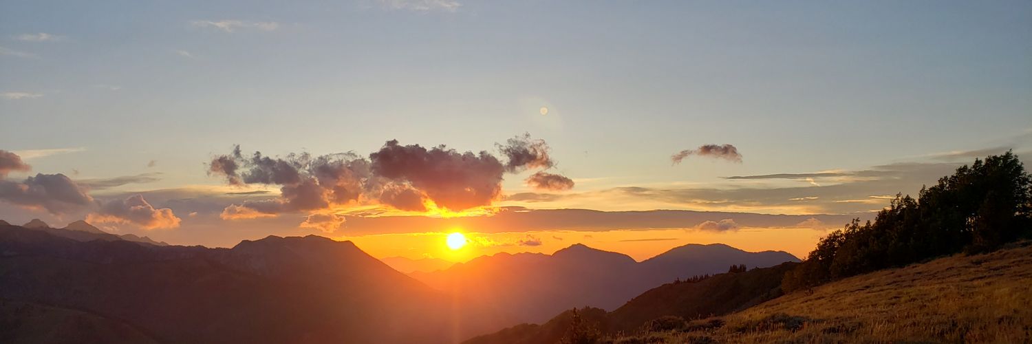 osaneats's profile banner image