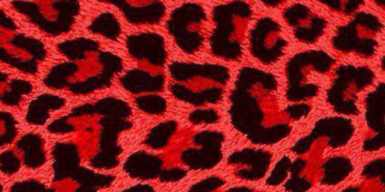 haruna___nr_'s profile banner image