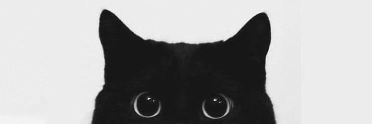 mrtincl's profile banner image