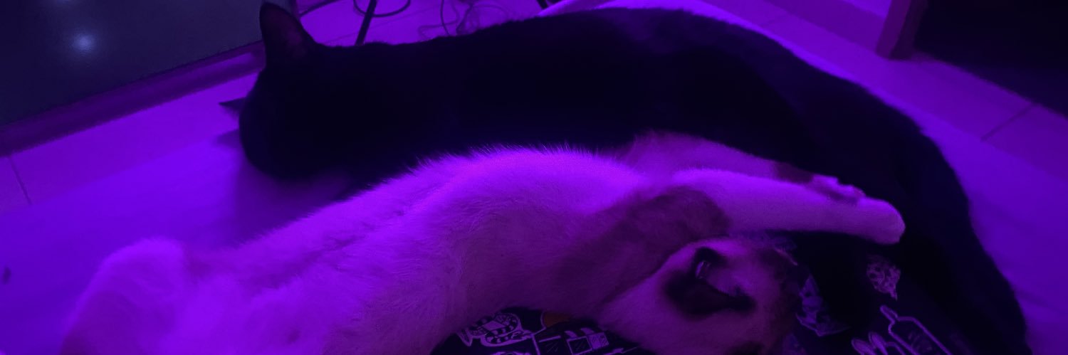_valntne's profile banner image