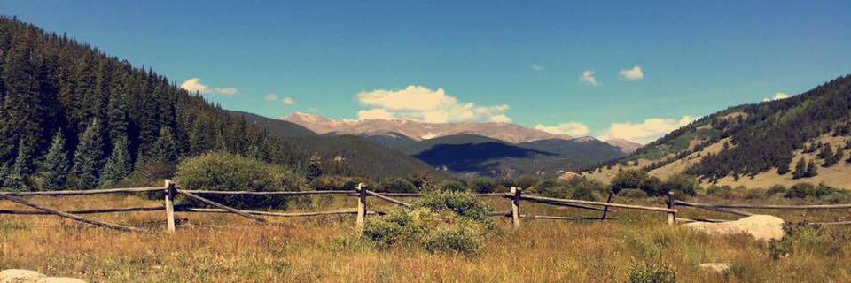 Brian 🌹🌻🍉 banner