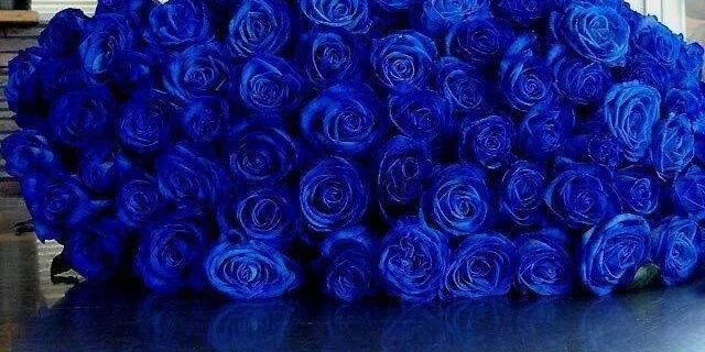 930704A's profile banner image