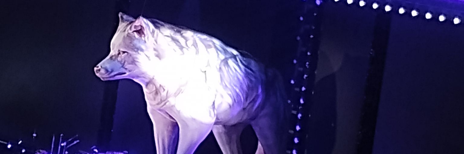 Sindy__RH's profile banner image